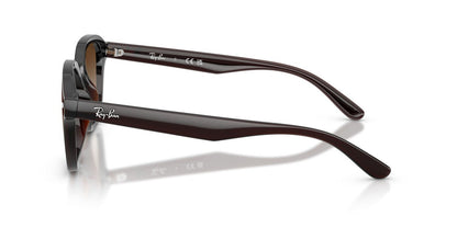 Anteojos De Sol Ray-Ban RB4458D Café/Café