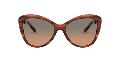 Anteojos De Sol Ralph Lauren 0RL8184 Gris/Havana