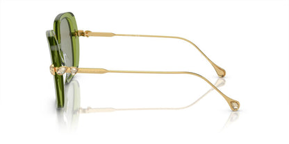 Anteojos De Sol Swarovski 0SK6011 Verde/Verde