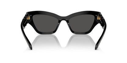 Anteojos De Sol Swarovski 0SK6021 Gris/Negro