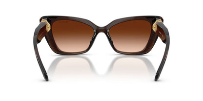 Anteojos De Sol Swarovski SK6047 Transparent Brown Brown Gradient