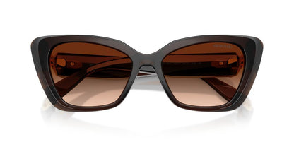 Anteojos De Sol Swarovski SK6047 Transparent Brown Brown Gradient