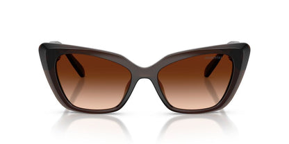 Anteojos De Sol Swarovski SK6047 Transparent Brown Brown Gradient