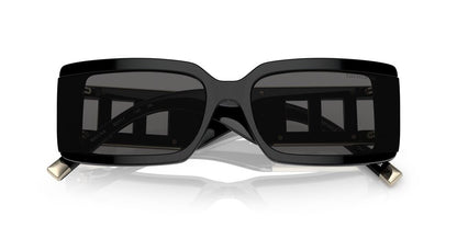 Anteojos De Sol Tiffany 0TF4197 Gris/Negro