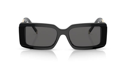 Anteojos De Sol Tiffany 0TF4197 Gris/Negro