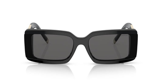 Anteojos De Sol Tiffany 0TF4197 Gris/Negro