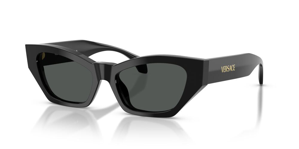 Anteojos De Sol Versace VE4488U Black Dark Grey Gris/Negro