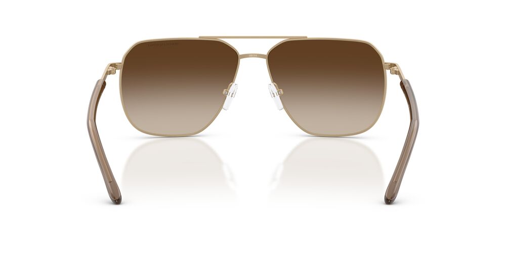 Anteojos De Sol Armani Exchange 0AX2057S Café/Dorado
