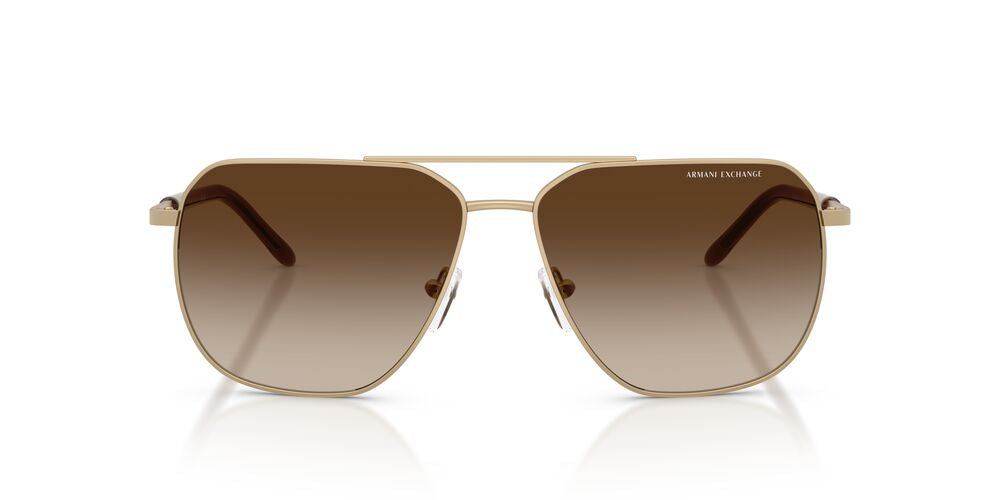 Anteojos De Sol Armani Exchange 0AX2057S Café/Dorado