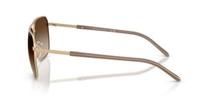 Anteojos De Sol Armani Exchange 0AX2057S Café/Dorado