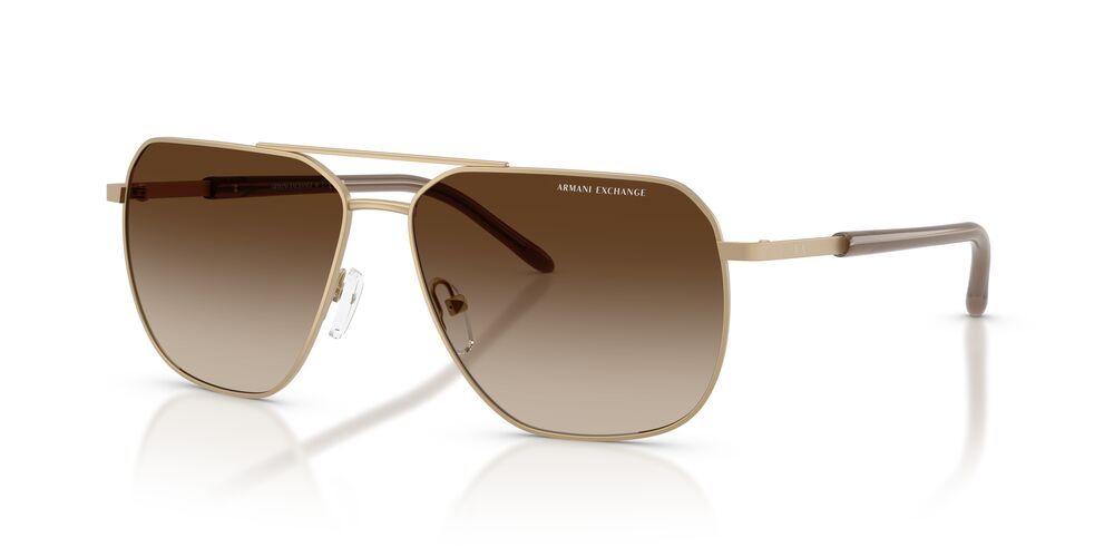 Anteojos De Sol Armani Exchange 0AX2057S Café/Dorado