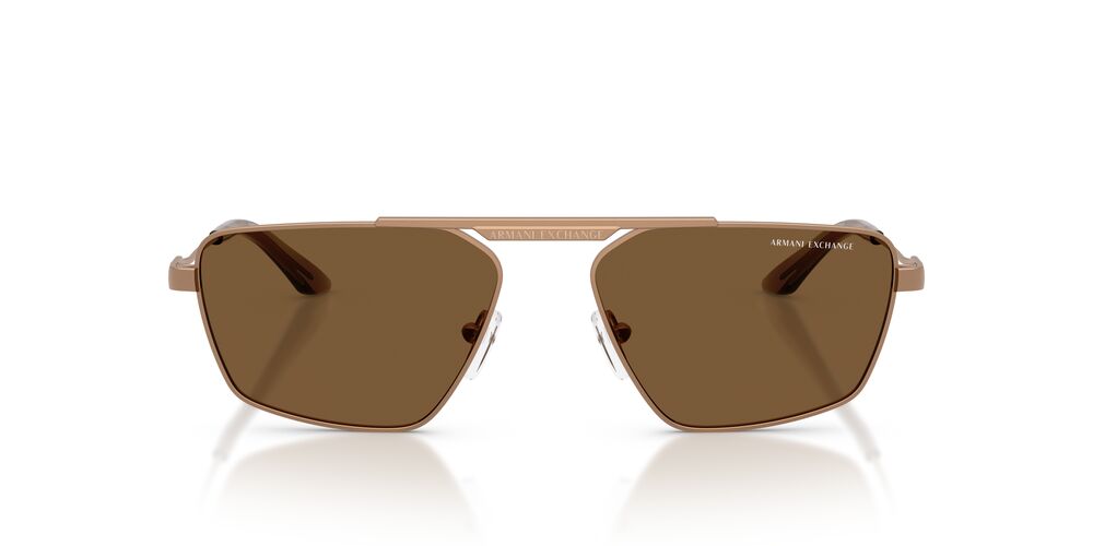 Anteojos De Sol Armani Exchange 0AX2059S Café/Rosa