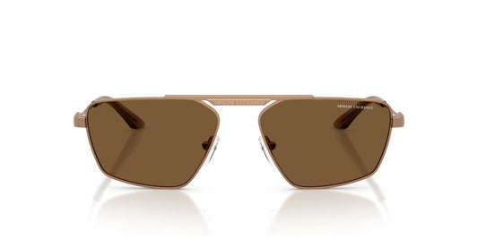 Anteojos De Sol Armani Exchange 0AX2059S Café/Rosa