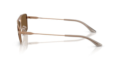 Anteojos De Sol Armani Exchange 0AX2059S Café/Rosa