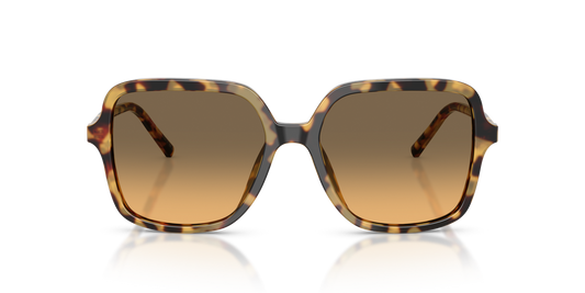 Anteojos De Sol Dolce&Gabbana 0DG4539 Yellow Havana Yellow Gradient Grey