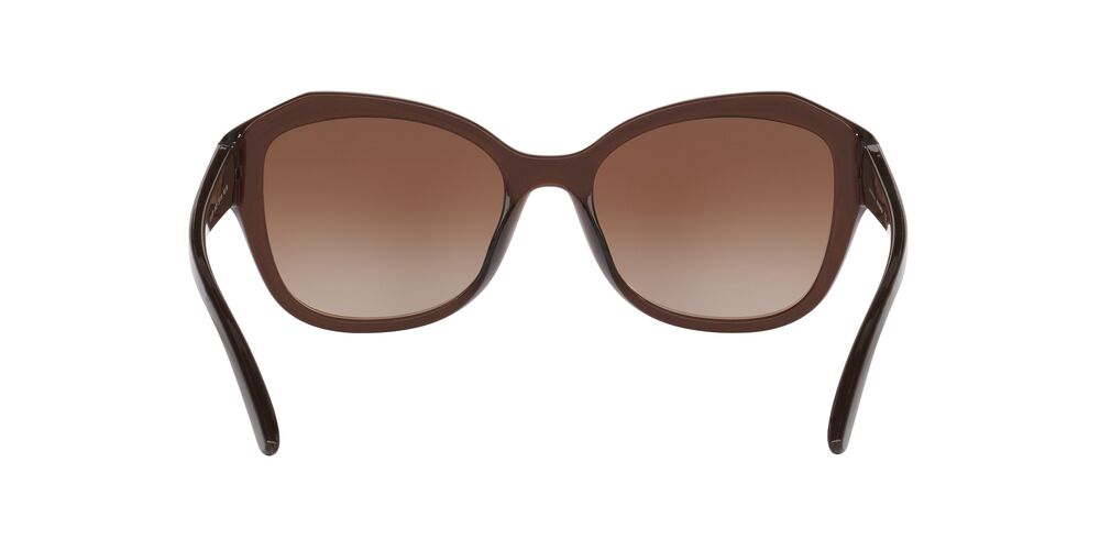 Anteojos De Sol Jean Monnier 0J84173 Translucent Brown Brown Gradient Dark Brown Café/Café