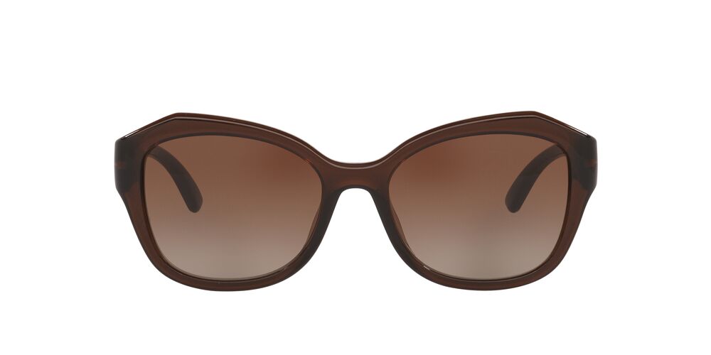 Anteojos De Sol Jean Monnier 0J84173 Translucent Brown Brown Gradient Dark Brown Café/Café