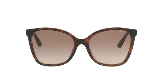 Lentes De Sol Jack Pacific 0JK1049U Café/Havana