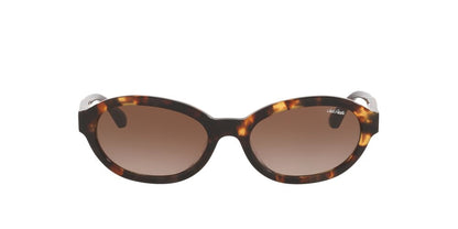 Anteojos de Sol Jack Pacific 0JK6007 Havana