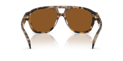 Anteojos De Sol Michael Kors 0MK2277U Café/Café