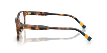 Anteojos Ópticos Polo Rl 0PH2302U Havana