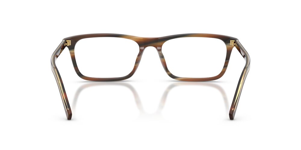 Anteojos Ópticos Prada 0PR D13V Cherry Tortoise/Tobacco Horn Cherry Tortoise/Tobacco Horn/Rectangular