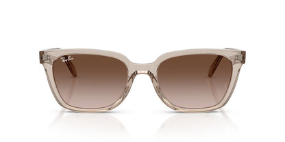 Lentes De Sol Ray-Ban 0RB2243D Café/Marrón