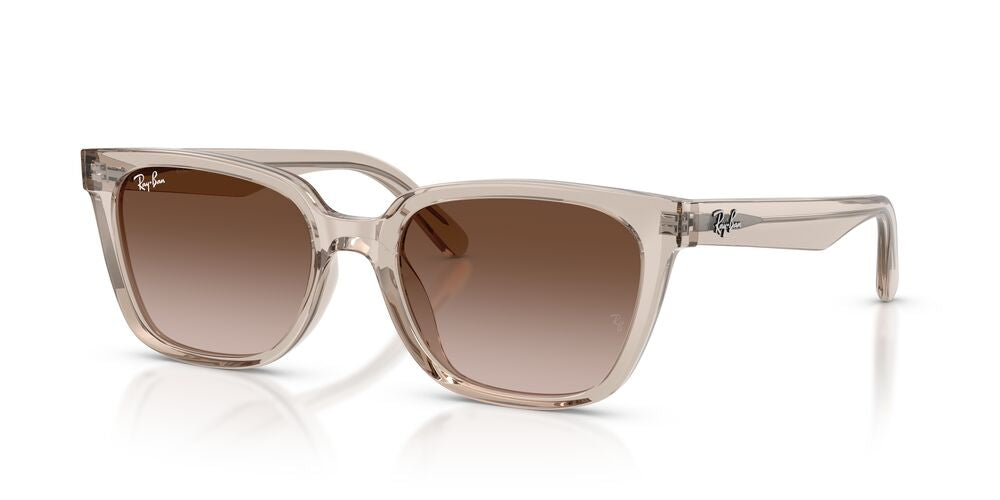 Lentes De Sol Ray-Ban 0RB2243D Café/Marrón