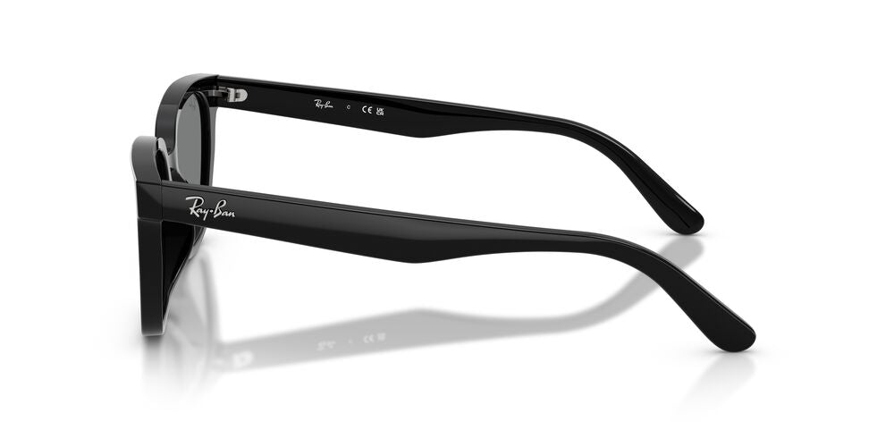 Lentes De Sol Ray-Ban 0RB2243D Gris/Negro