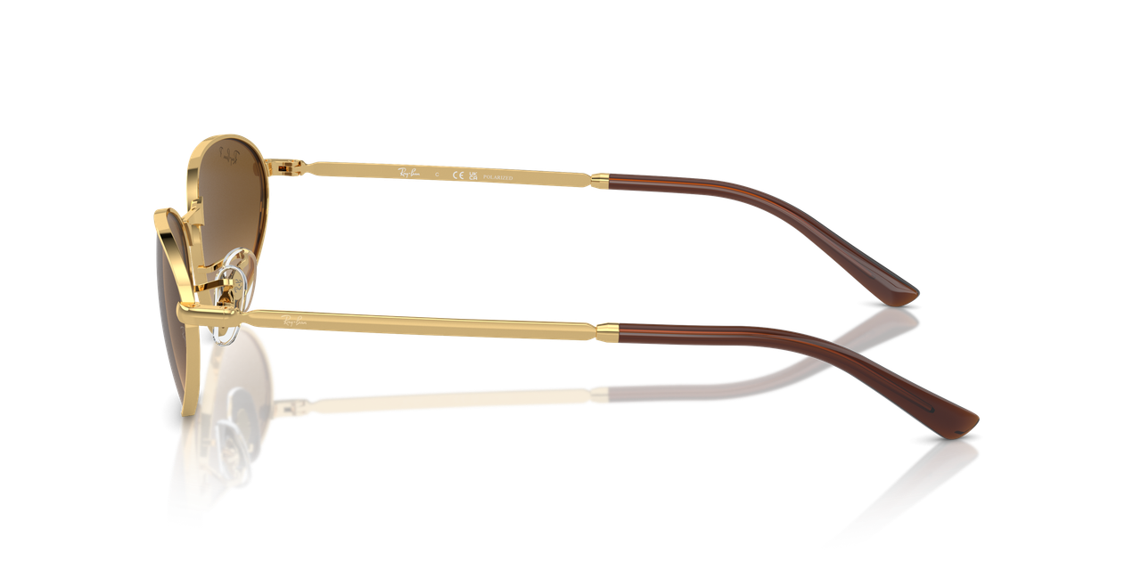 Anteojos De Sol Ray-Ban 0RB3734 Café/Dorado