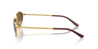 Anteojos De Sol Ray-Ban 0RB3734 Café/Dorado