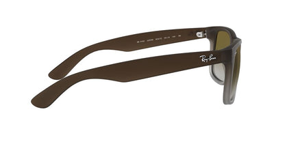 Anteojos De Sol Ray-Ban 0RB4165 Justin Verde/Café