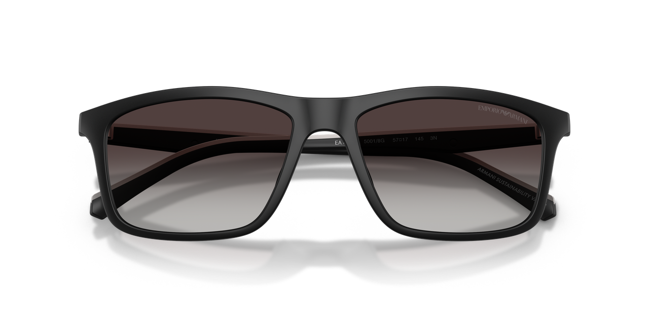 Anteojos De Sol Emporio Armani 0EA4257U Matte Black Grey