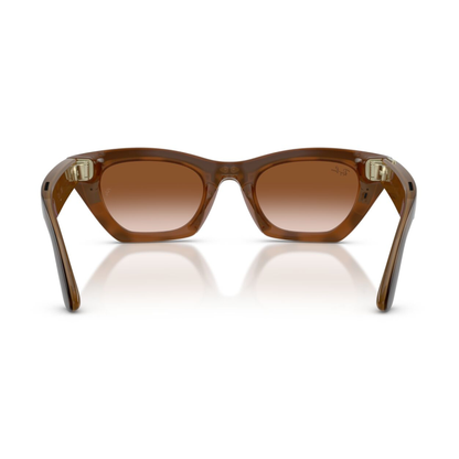 Anteojos de Sol Ray-Ban meta (Gen 3) Zena  Havana