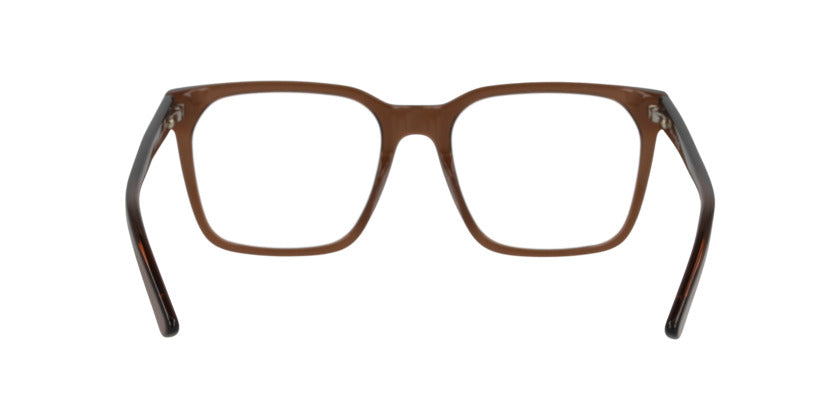 Anteojos Ópticos Dbyd DB2138 Transparent Brown Café