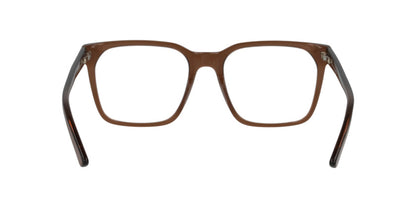 Anteojos Ópticos Dbyd DB2138 Transparent Brown Café
