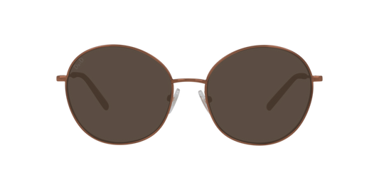 Anteojos De Sol Dbyd DB5023 Dbsf7001 Brown Brown Café/Café