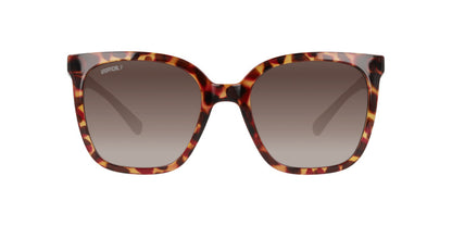 Anteojos De Sol Unofficial UO6208B Havana With Purple Gradient Brown - Polar Café/Havana