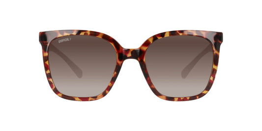 Anteojos De Sol Unofficial UO6208B Havana With Purple Gradient Brown - Polar Café/Havana