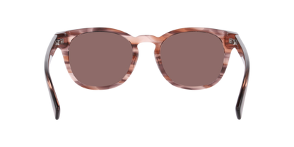 Anteojos De Sol Dbyd DB4052 Pink Stripes Brown Café/Rosado