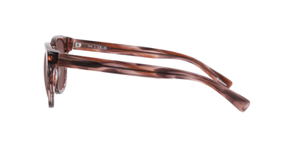 Anteojos De Sol Dbyd DB4052 Pink Stripes Brown Café/Rosado