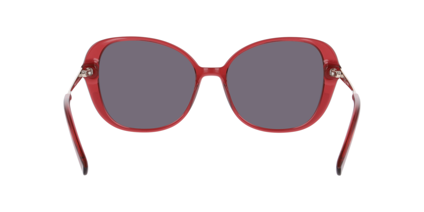 Anteojos De Sol Dbyd DB4051 Transparent Burgundy Grey - Polar Gris/Burdeo