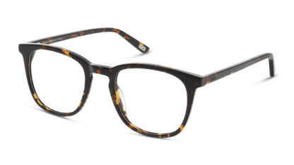 Anteojos Ópticos Dbyd Havana