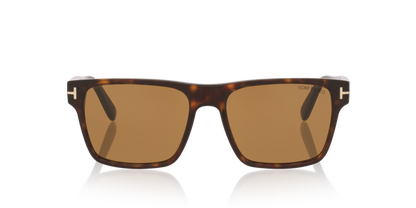 Anteojos De Sol Tom Ford TR001981 Calder Tortoise Black Brown Café/Negro