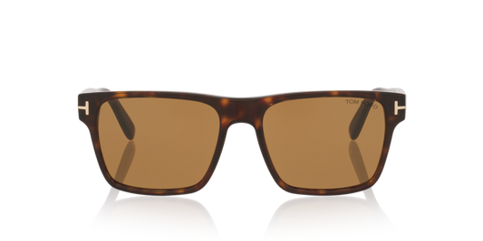 Anteojos De Sol Tom Ford TR001981 Calder Tortoise Black Brown Café/Negro
