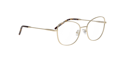 Anteojos Ópticos Dbyd DB1122 Dorado