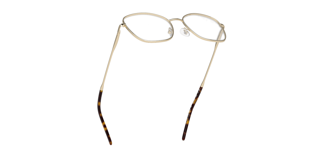 Anteojos Ópticos Dbyd DB1122 Dorado